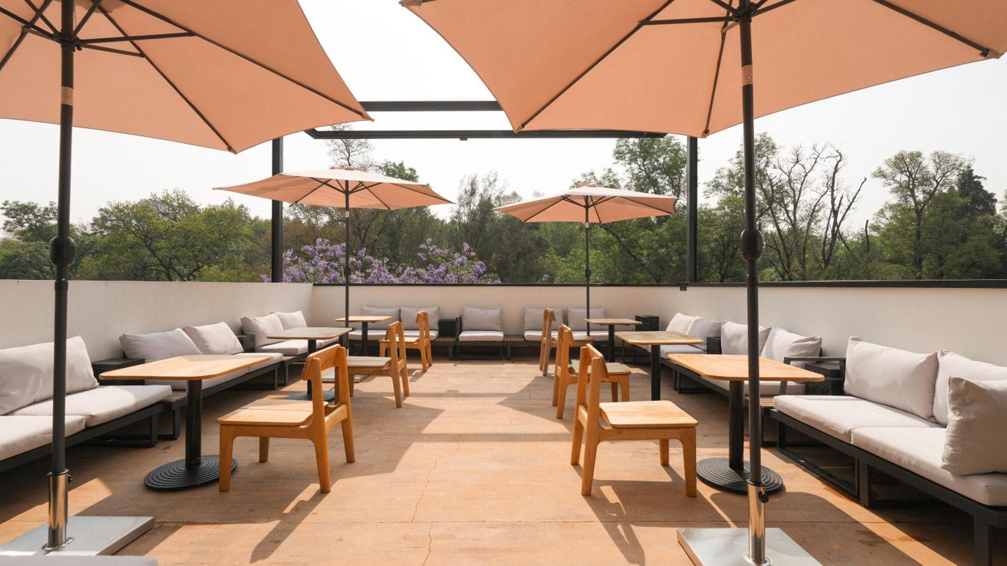 Rodona Hotel Mexico City Ngoại thất bức ảnh